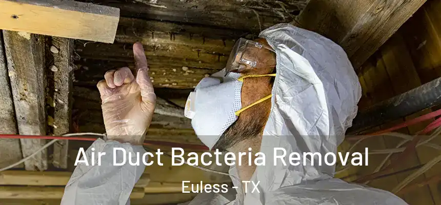  Air Duct Bacteria Removal Euless - TX