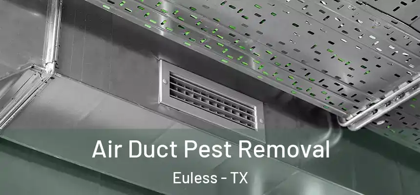  Air Duct Pest Removal Euless - TX