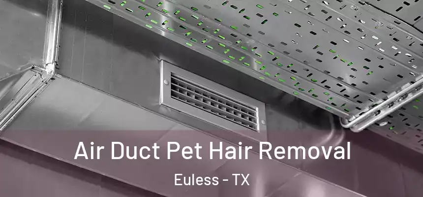 Air Duct Pet Hair Removal Euless - TX