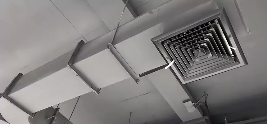 Restorative Allergy Relief Vent Cleaning – Coil, Blower & Housing Detail in Euless