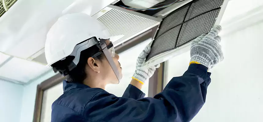 Our Mold & Mildew Removal from Air Ducts Services in Euless, TX