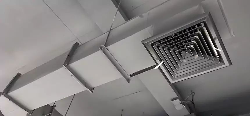 Our Pest Removal From Ducts Services in Euless, TX