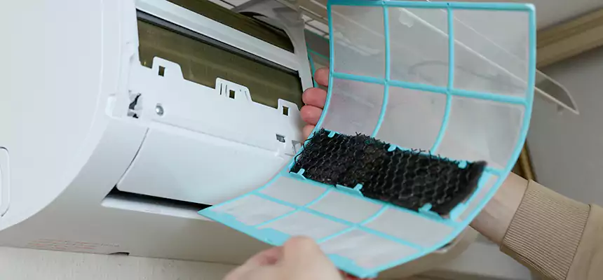 Gentle Ductwork Odor-Control Pet Dander Duct Cleaning in Euless, TX