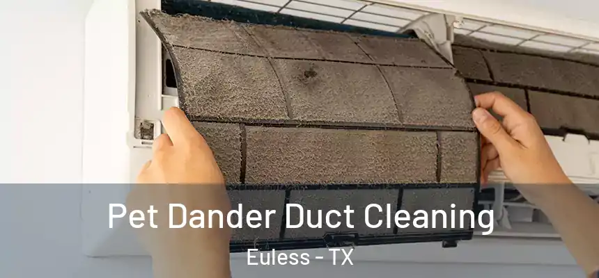Pet Dander Duct Cleaning Euless - TX