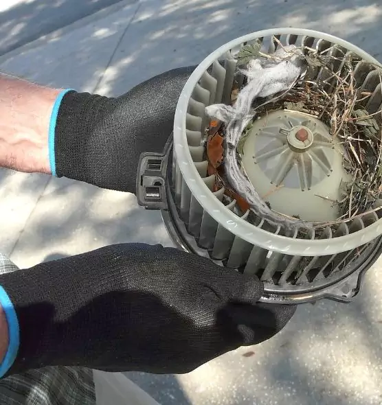 About Air Duct Mice Removal in Euless, TX