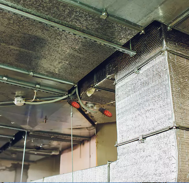 Why Homeowners & Businesses Trust Us in Euless, TX?