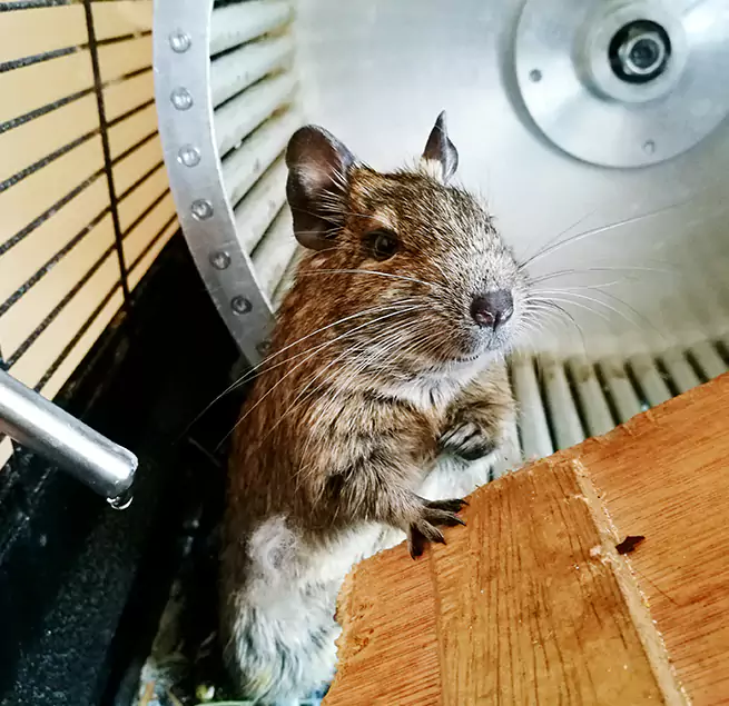 Why Homeowners & Businesses Trust Us Euless, TX