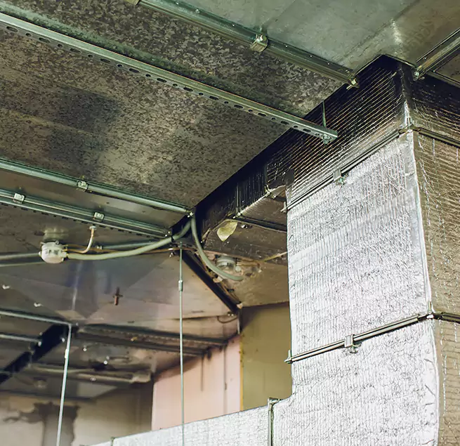 Why Homeowners & Businesses Trust Us in Euless, TX?